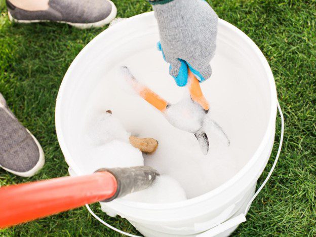 cleaning garden tools helps protect plants from harmful pathogens